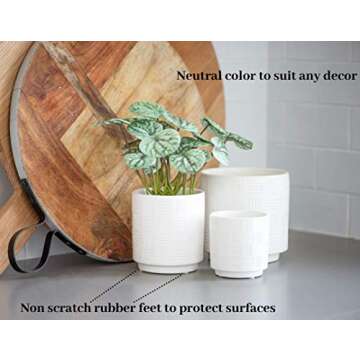 Ceramic Stoneware Planters - Set of 3 Planter Pots for Indoor, 5½” H, White - Stylish Flower Pots with Drainage - Modern Home Decor for Plants - Cactus Planter, Succulent Pot