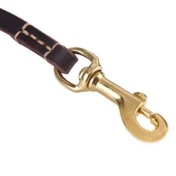 WOPOKY Leather Leash for Small to Medium Dogs - 6FT Lazy Walk