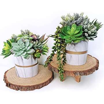 Supla 14 Pcs Unpotted Artificial Succulents Plants Bulk Assorted Faux Succulents in Different Green Hanging String of Pearls Cactus Aloe Succulent Picks for Wedding Centerpieces Floral Arrangement
