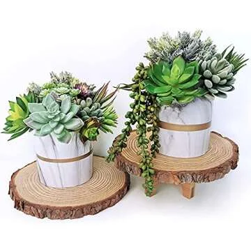 Supla 14 Pcs Assorted Artificial Succulents for Decor