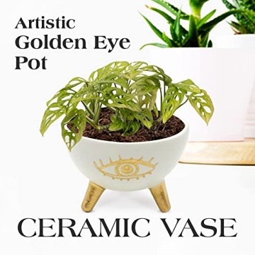 SLS SUPPLY FLORA Gold Evil Eye Planter Bowl for Decor
