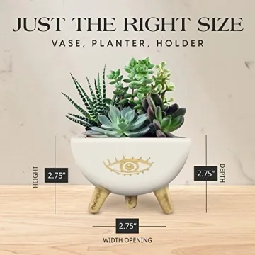 SLS SUPPLY FLORA Gold Evil Eye Planter Bowl for Decor