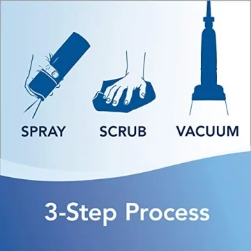 BISSELL Heavy Traffic Carpet Foam Gain 22oz Pack of 4