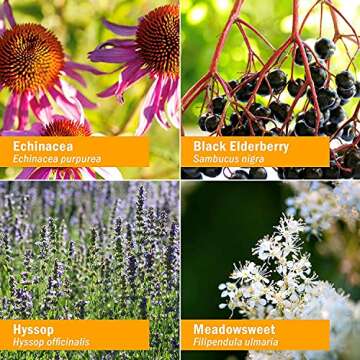 Herb Pharm Kids Certified-Organic Immune Avenger Formula, 1 Ounce and Mullein Garlic Ear Oil, 1 Fl Oz