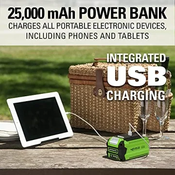 Powerful Greenworks 40V Blower for Effortless Yard Care