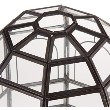 Urban Born Handmade Birdcage Large Glass Terrarium