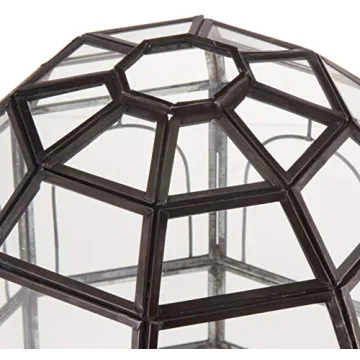 Urban Born Handmade Birdcage Large Glass Terrarium