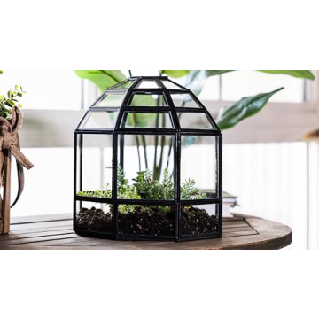 Urban Born Handmade Birdcage Large Glass Terrarium