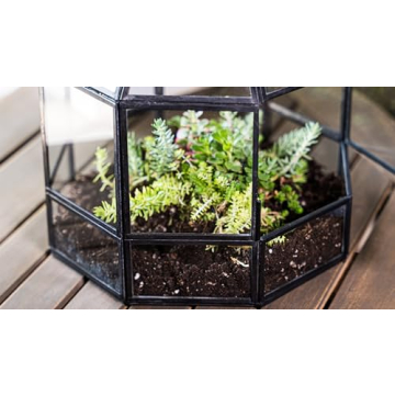 Urban Born Handmade Birdcage Large Glass Terrarium