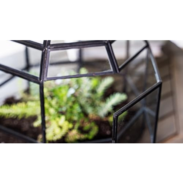 Urban Born Handmade Birdcage Large Glass Terrarium