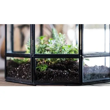 Urban Born Handmade Birdcage Large Glass Terrarium