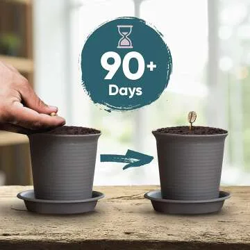 Coffee Plant Kit: Grow Your Own Arabica Coffee at Home