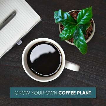 Coffee Plant Kit: Grow Your Own Arabica Coffee at Home