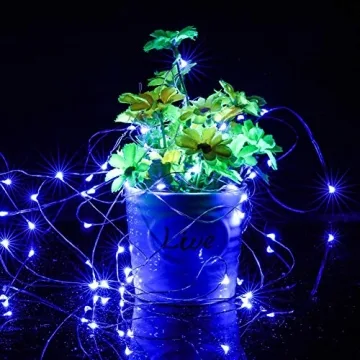 Twinkle Star 100 LED Indoor Fairy String Lights