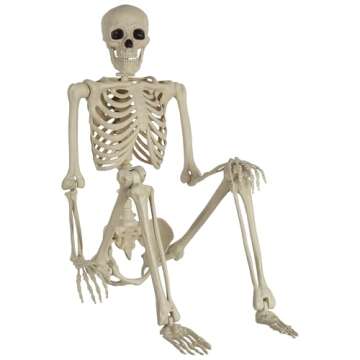 amscan Life Size Skeleton | 60 In Tall Halloween Decoration