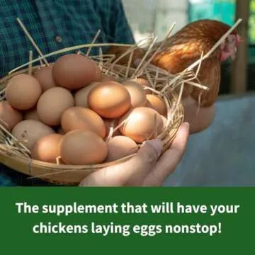 GrubTerra Golden Dried Black Soldier Fly Larvae - Premium Supplement for Increased Egg Production