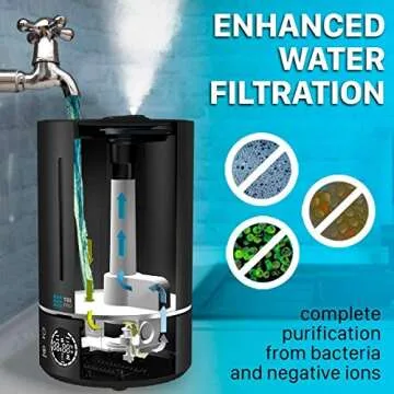 Top Fill 6L Cool Mist Humidifier for Large Rooms