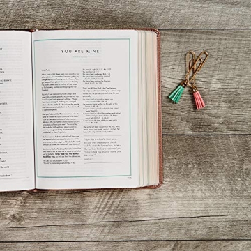 CSB She Reads Truth Bible - Rose Gold, Journaling Space