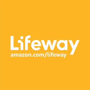 CSB She Reads Truth Bible - Rose Gold, Journaling Space