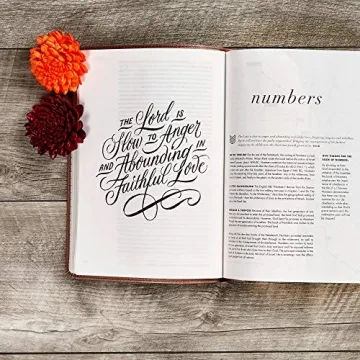 CSB She Reads Truth Bible - Rose Gold, Journaling Space