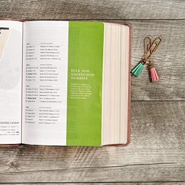 CSB She Reads Truth Bible - Rose Gold, Journaling Space