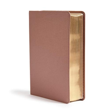CSB She Reads Truth Bible - Rose Gold, Journaling Space