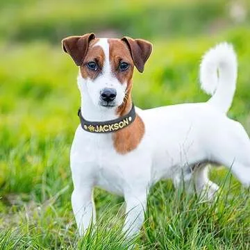 PET ARTIST Personalized Leather Dog Collar with Bling Name Letters,Rhinestones Dog Collar for Small ...