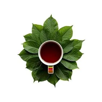 Dimmak Herbs Organic Scutellaria Baicalensis Extract Powder