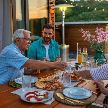 Four Seasons Courtyard Freestanding Portable Outdoor Heater with Temperature Control, 48,000 BTU