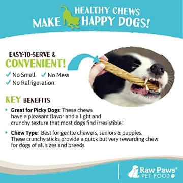 Raw Paws Beef Tripe Twists - All-Natural Dog Chews
