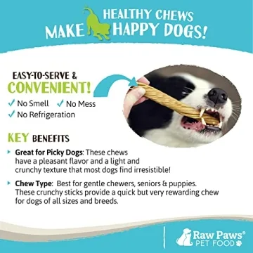 Raw Paws Beef Tripe Twists - All-Natural Dog Chews