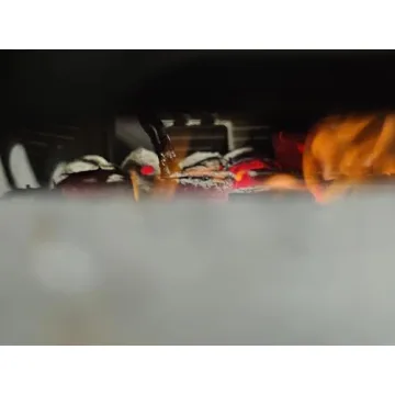 Coconut Charcoal Briquettes for Perfect Winter Grilling