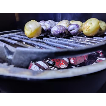 Coconut Charcoal Briquettes for Perfect Winter Grilling