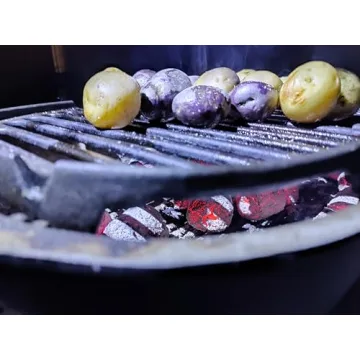 Coconut Charcoal Briquettes for Perfect Winter Grilling