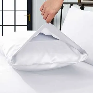 LILYSILK 2pc Silk Pillowcase Set Standard Luxury Both Sides Real 19 Momme Mulberry Charmeuse White Standard