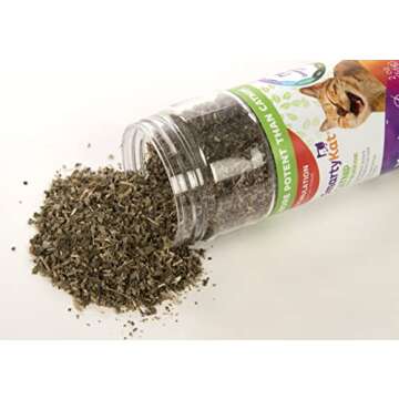 SmartyKat Catnip & Silvervine Blend for Cats & Kittens, Shaker Canister - 2 Ounces