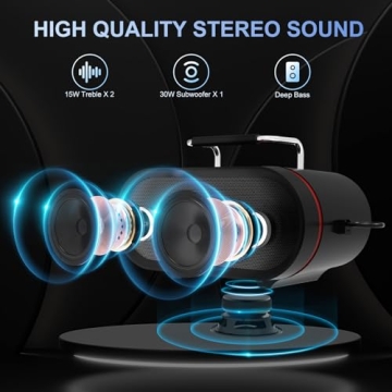 K666 Karaoke Machine - Powerful Sound & Wireless Mics