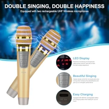 K666 Karaoke Machine - Powerful Sound & Wireless Mics
