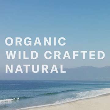 Chocolate Sun - Organic Absolute Dark Tanning Cream Face & Body | Clean, Non-Toxic Sunless Tanning (Dark Skin Tones, 8 oz | 236 ml)