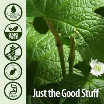 Nature's Answer Goldenseal Root | Herbal Supplement | Supports A Healthy Immune System | Gluten-Free & Alcohol-Free 1oz (2 Pack)