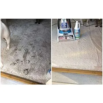Sunny & Honey Carpet and Pet Stain Miracle Bundle