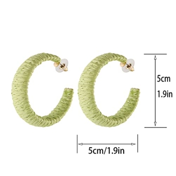 Scddboy Raffia Beach Earrings for Women - Bohemian Style