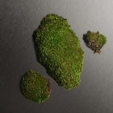 Calvin Klein Eternity Men's Deodorant with Fresh Fragrance