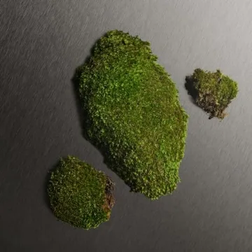 Calvin Klein Eternity Men's Deodorant with Fresh Fragrance