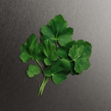 Calvin Klein Eternity Men's Deodorant with Fresh Fragrance