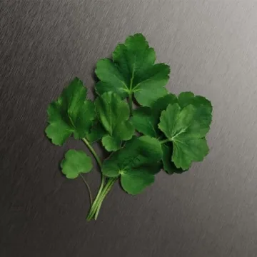 Calvin Klein Eternity Men's Deodorant with Fresh Fragrance