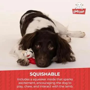 Multipet Lamb Chop Dog Plush Toy - Squeaky Dog Toy for All Dogs - Extra Soft Plush Dog Toy - Stuffed Animal Dog Toy for Cuddling & Playing - Cute Pet Toy (6", Cream)