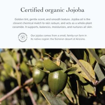 evanhealy Rose Vetiver Moisturizer | Facial Cream for All Skin Types - Lightweight Formula Packed with Antioxidants - Balancing for All Skin Types