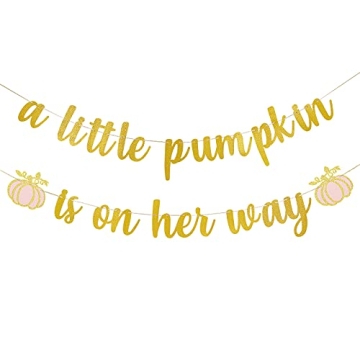 A Little Pumpkin Is On Her Way Banner for Fall Pumpkin Pink Girl Birthday Party Decorations, Thanksg...