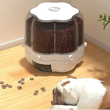 Organize Your Kitchen with XIYAO Grain Dispenser